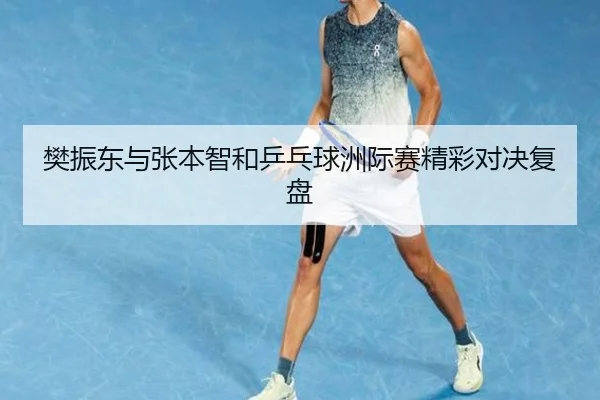 樊振东与张本智和乒乓球洲际赛精彩对决复盘
